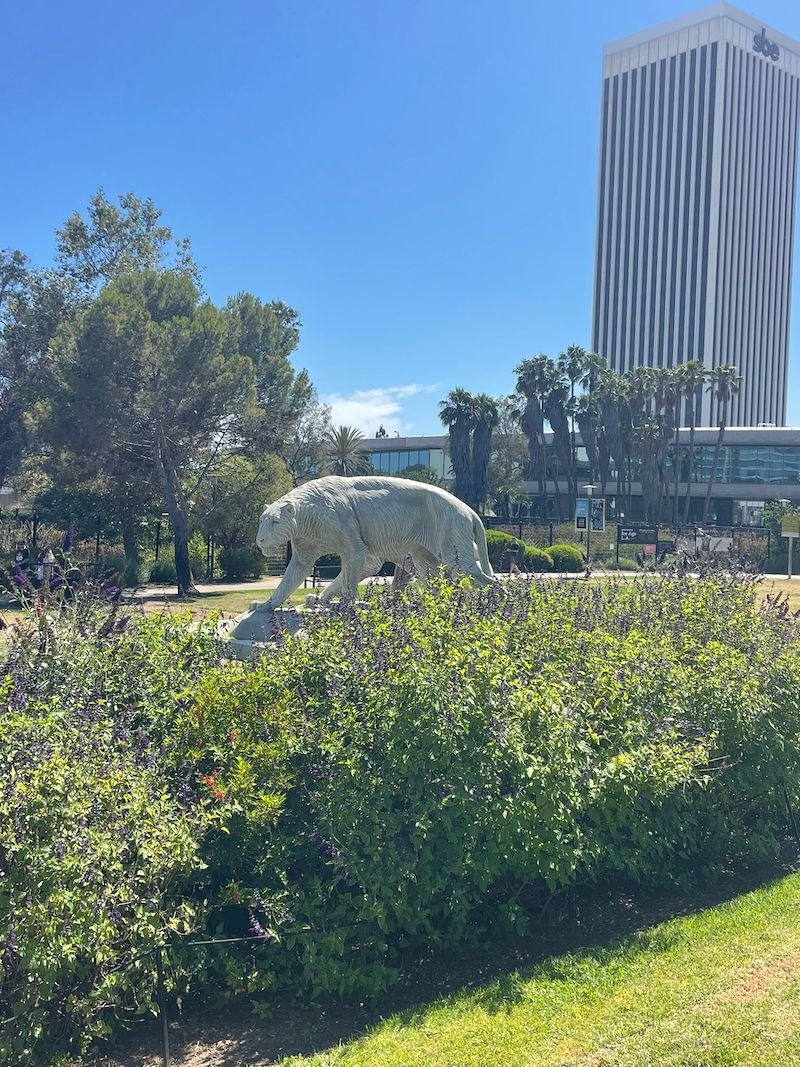 Imperdível em LA conhecer o sítio arqueológico La Brea Tar Pits e o ...