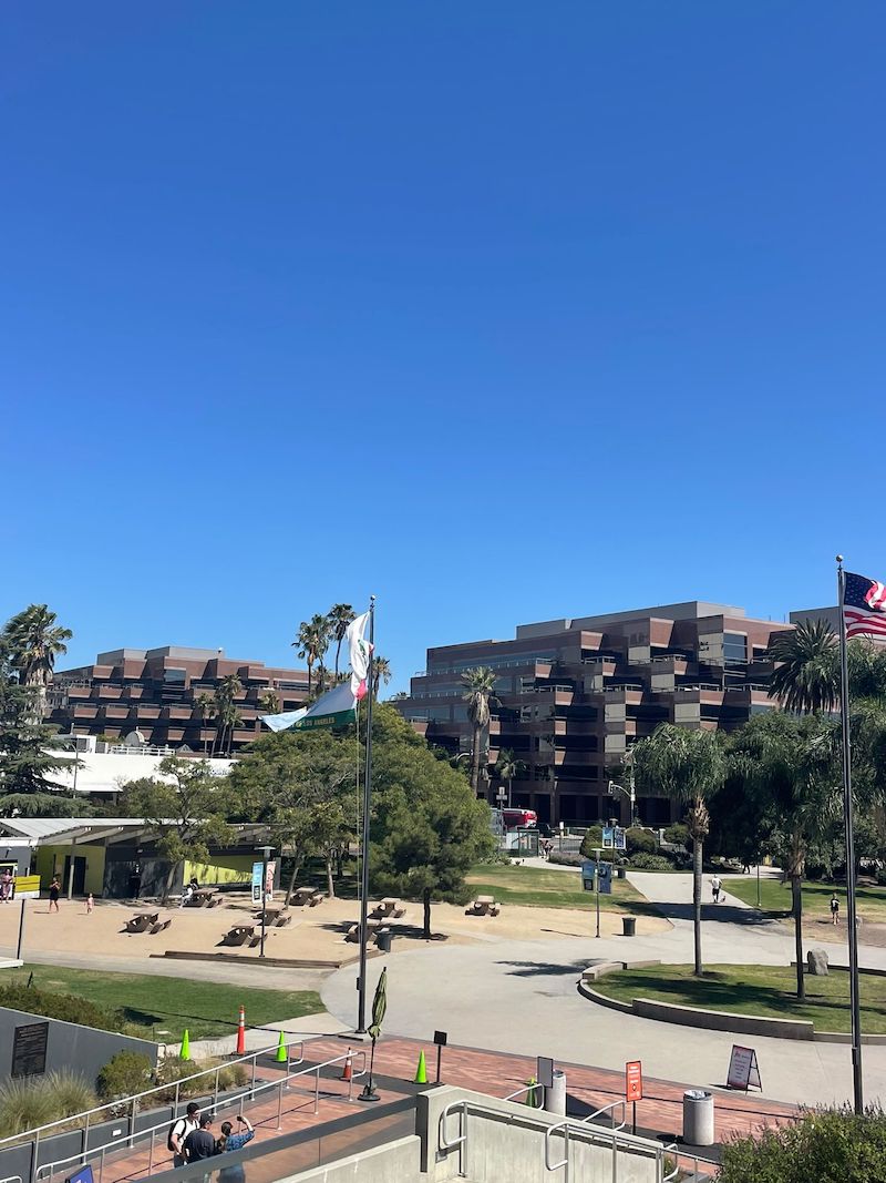 Imperdível em LA conhecer o sítio arqueológico La Brea Tar Pits e o ...